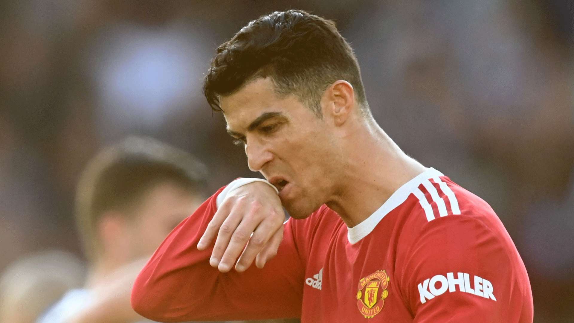 以期揭开这 以期揭开这