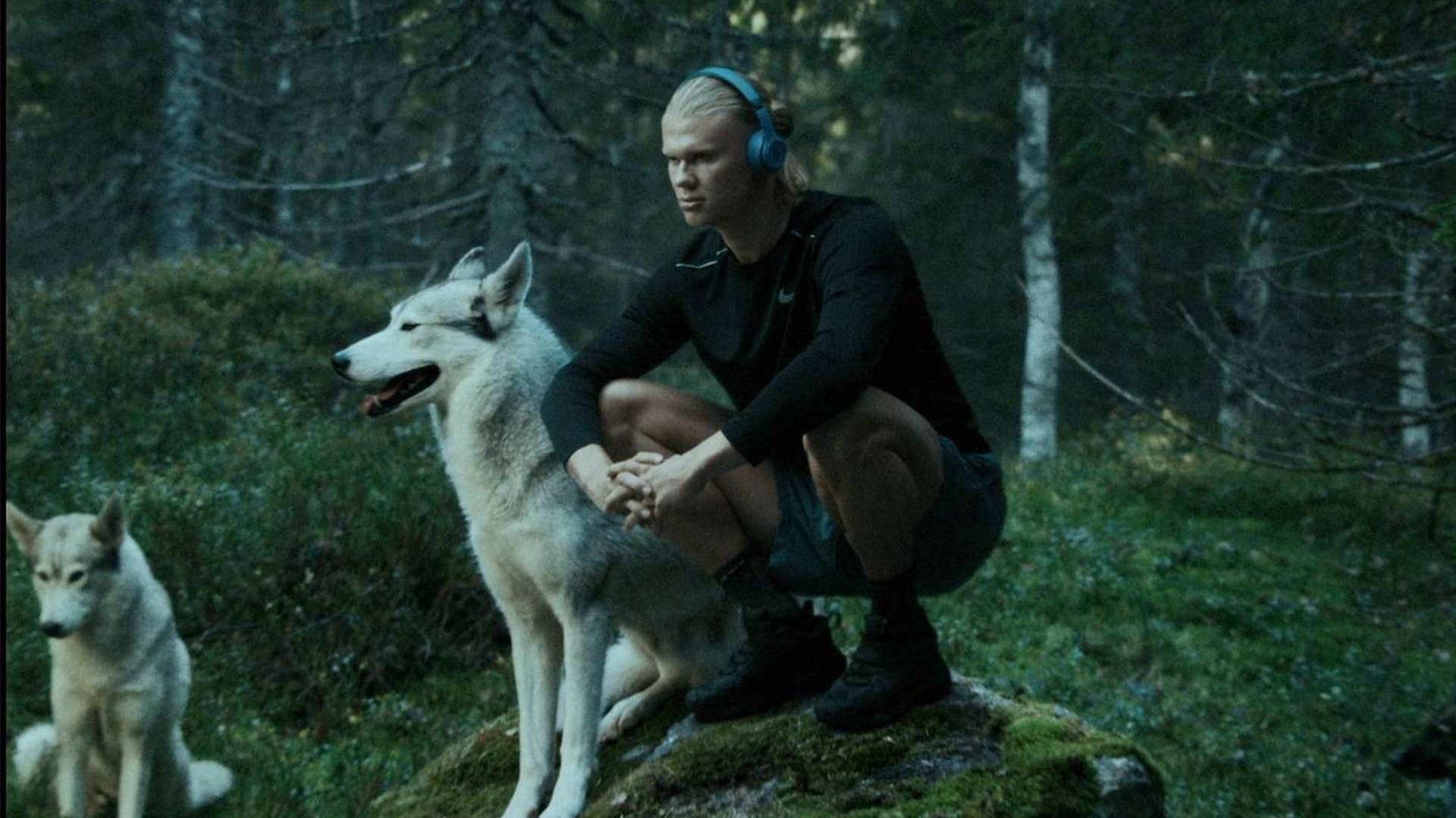 强大的球迷 强大的球迷